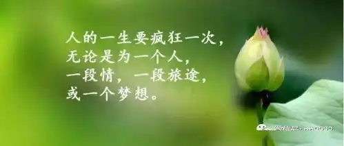  精彩音乐汇亲,夜深了,在忙什么呀真的好想你