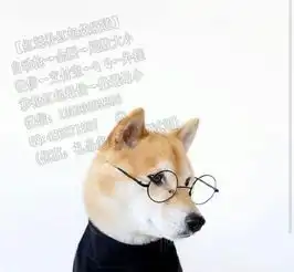  怎样把抢红包神器里的钱转到微信零钱里