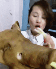 发红包gif图片搞笑图片搞笑gif