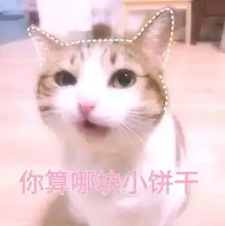  粉萌喵