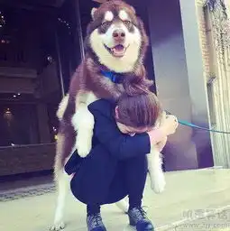 搞笑图片下面的妹子你还好么  搞笑图片下面的妹子你还好么