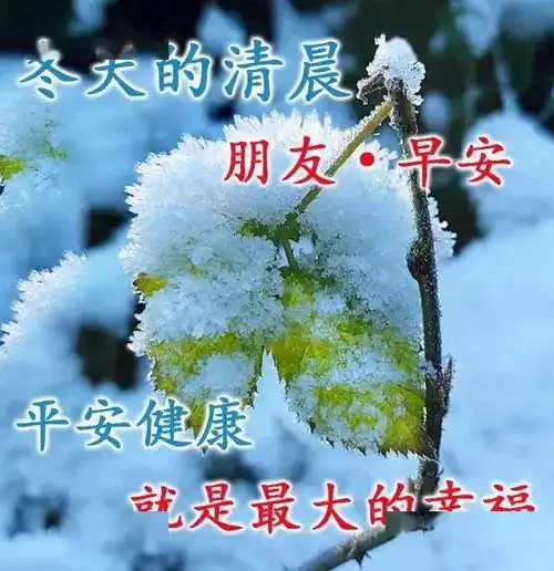  冬天可爱的早上好表情图片,天寒地冻牵挂始终,注意保暖平安是福