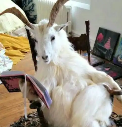 搞笑图片幽默段子笑话可以问一下退货的理由吗 搞笑图片幽默段子笑话可以问一下退货的理由吗