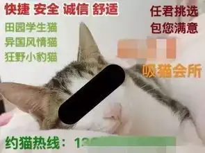  不堪入目上海惊现吸猫会所,网友多地实拍地下猫色场所