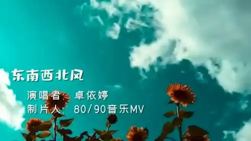  卓依婷东南西北风