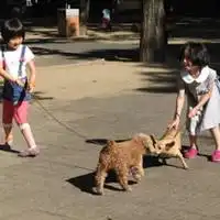  小女孩牵一只狗闰蜜头像微信头像图片大全