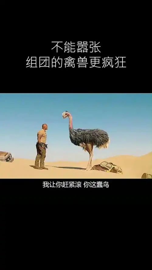  此鸟智商足够,干不过的时候能码人就码人,组团威武动物也戏精音乐电影搞笑