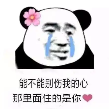  熊猫头撩妹表情包合集有时间一起睡觉怎么样我看你挺能睡的
