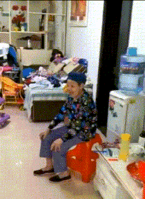  那天我家的猫喝醉了,非要找老鼠拜把子,酒精魅力太大了