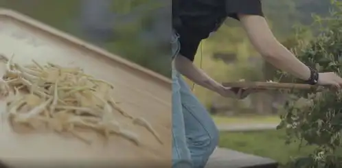 好玩民宿在泰顺抓鸭摸鱼酿果酒叫花鸡户外真人cs......农场主的生活居然是这样子的  好玩民宿在泰顺抓鸭摸鱼酿果酒叫花鸡户外真人cs......农场主的生活居然是这样子的