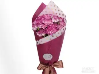  图淘花教师节鲜花预订康乃馨百合玫瑰鲜花同城配送有优惠上海鲜花绿植