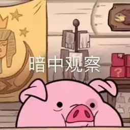  在学校面积很小的大学生活是种什么样的体验