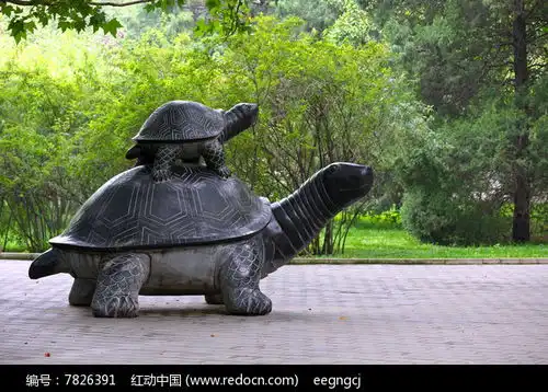 乌龟雕塑高清图片下载红动网  乌龟雕塑高清图片下载红动网