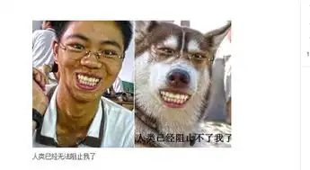  这些传说中的神级搞笑ps图片,总有一张能笑喷你