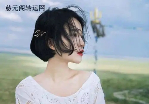  属狗2019年运势及运程属狗人2019年全年运势