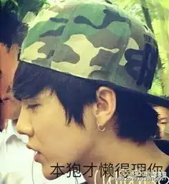  鹿晗趣图带文字搞笑