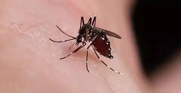  7月,这些疾病高发,市疾控中心发布提醒