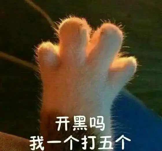  猫咪的多重身份孩子家人朋友就是没把自己当猫