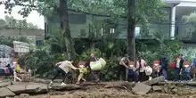  险上学路遇改造,小朋友乱石坑踩独木桥上幼儿园