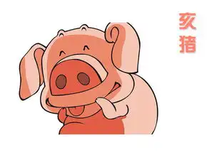 三十日生属猪人命运好吗