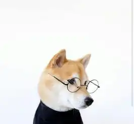  两只手拿着鸡腿跳舞的柴犬图片