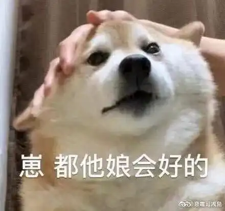 哈哈喵开黑的表情包抖音