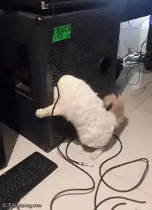  搞笑图片无聊时,高能单身狗可以和自己影子玩