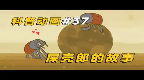  屎壳郎的彩礼,就是它们推的粪球,同时还要防备隔壁老王与伪娘