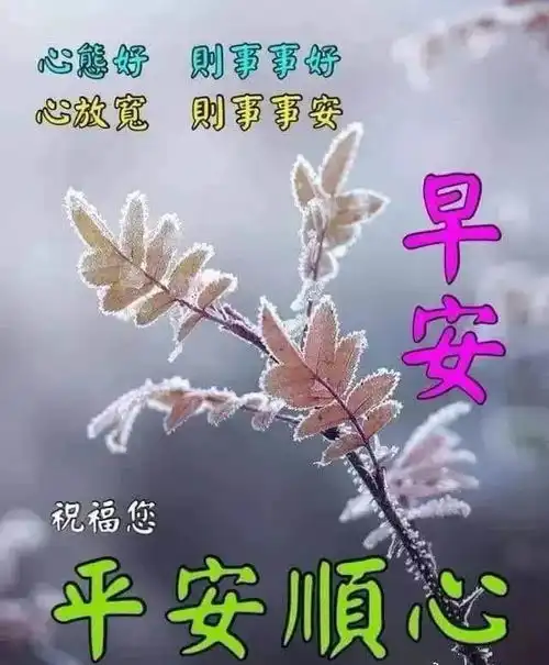  早晨好问候语录暖心句子送给你,清晨慰问朋友的早上好祝福句子