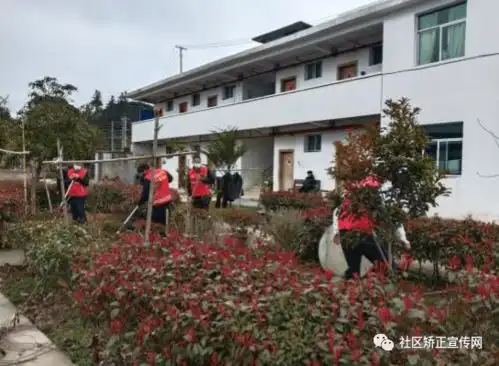  福建政和县社区矫正管理局组织社区矫正对象开展学雷锋活动矫正偏航人生