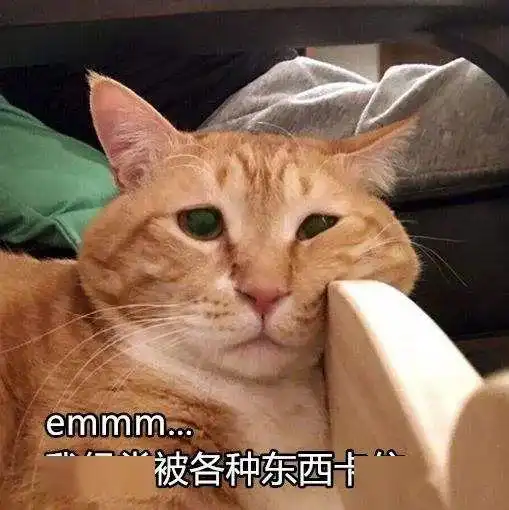 人家不胖,人家只是毛茸茸  人家不胖,人家只是毛茸茸