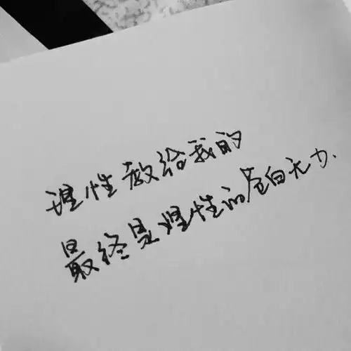  海棠花未眠的相册写字