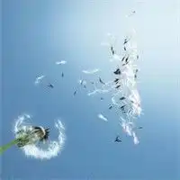  微信头像往事随风男头像微信头像图片大全