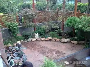 快拿你家的照片来参加美丽庭院评选吧  快拿你家的照片来参加美丽庭院评选吧