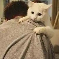 搞笑卡通情侣头像下载微信头像图片大全  搞笑卡通情侣头像下载微信头像图片大全