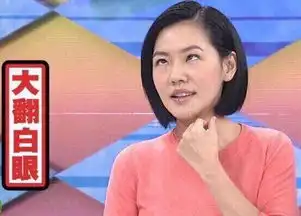  小s刚出道充当笑料,谢娜群演接到手软,名嘴成长也心酸