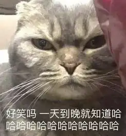  你见到过哪些笑到不行表情包