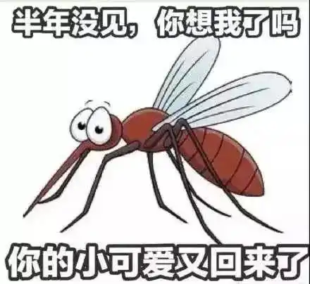 被蚊子叮的搞笑图片节操
