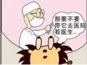  搞笑漫画电脑中毒了,怎么办