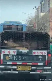  请问哪个才是女厕所在线等挺急的搞笑图片