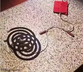  搞笑图片你们在玩什么游戏,我可以加入吗