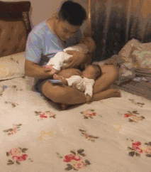  gif搞笑趣图我长的也不差劲啊我怎么就成白送的了