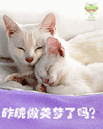  幽默早安问候图片动态图片精选