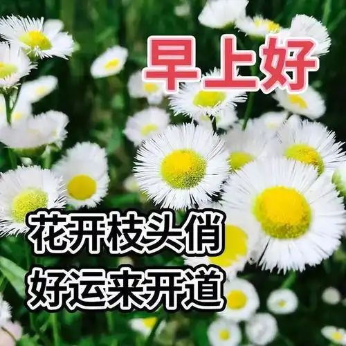  4月15日早上好问候表情图片