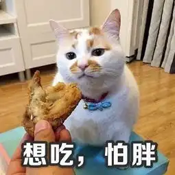  大脸喵的困惑表情包满脸都写着高兴