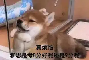 烤鸭搞笑表情包的图片