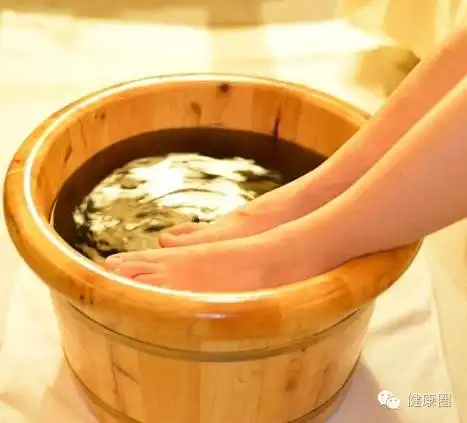  中医养生篇艾叶