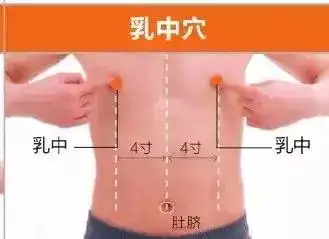  足阳明胃经45个针灸穴位图,高清穴位图解收了吧