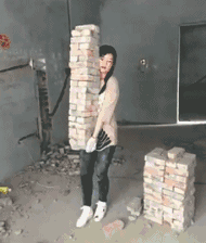 狗的搞笑图片gif轻松一