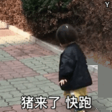  宝宝我来了猪来了快跑微信表情包女孩你的小可爱来了表情包动态下载乐游网游戏下载